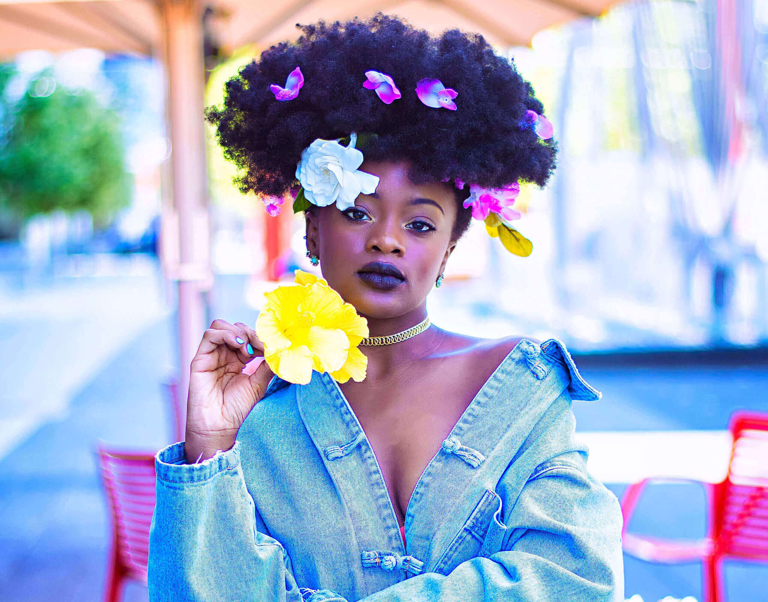 project12_bigimages5 (1)